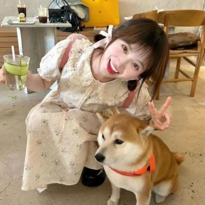 金黄色的回忆